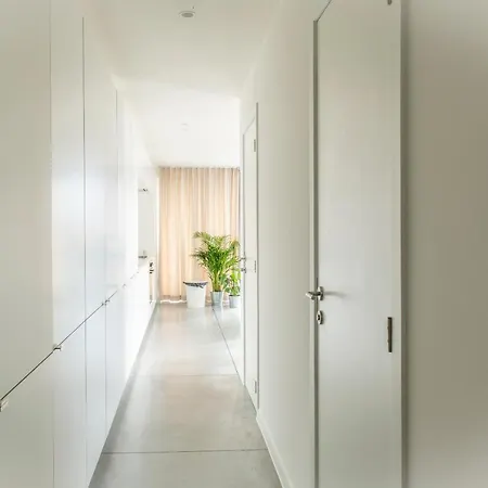 Trendy As Base To Discover Apartment