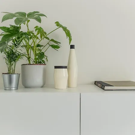 Trendy As Base To Discover Apartment